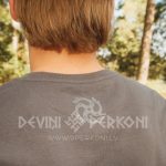 1791682509 Zalkšu sakta. Plānais džemperis