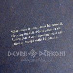2914427548 Sapratne. Irēna Saprovska. Grāmata